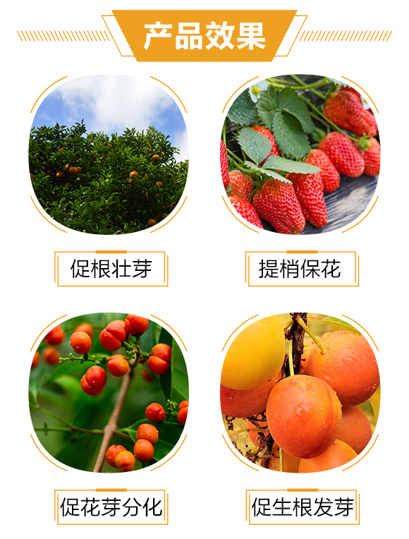 �o(h��)�����H3_03