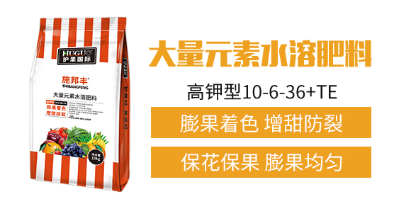 �o(h��)�����H2_02