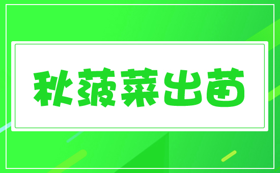 ���˳���