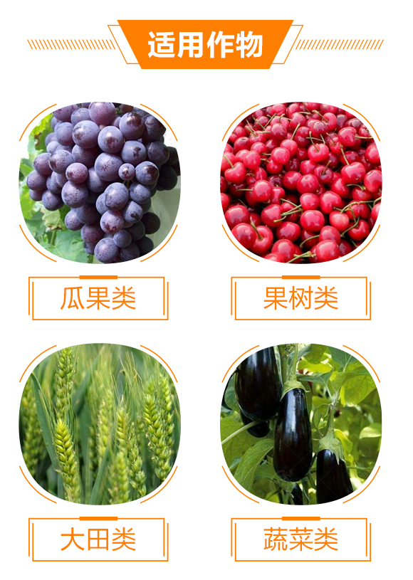 �ό����A���r(n��ng)�I(y��)�Ƽ�����؟�ι�˾1_05