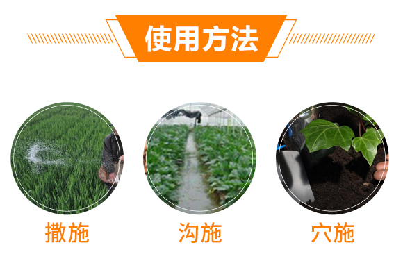 �ό����A���r(n��ng)�I(y��)�Ƽ�����؟�ι�˾1_06