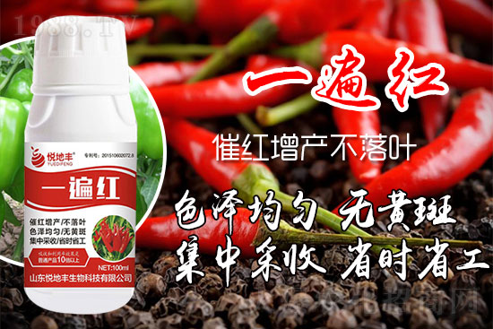 �����߼t��ʩ��ô�������������ǰ�����������߼tˎʲô�r������