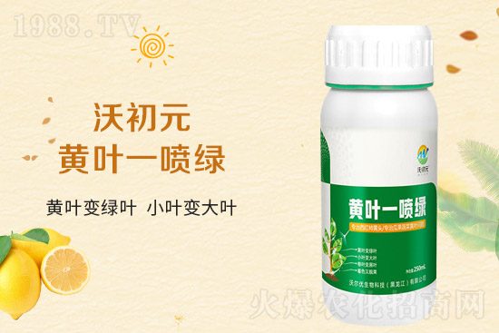 �����~Ƭ��ʲô�l(f��)�S��