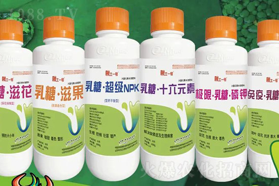 �J����������c����Щ���J����������ôʩ