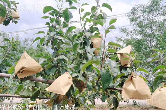     ����(sh��)�״���ɜp���r(n��ng)ˎ���������ƹ��ӵ����^Ʒ�|(zh��)���ɴ����߹�Ʒ�u(m��i)���������׳��۲��u(m��i)���߃r(ji��)�����Թ���(sh��)�״�Ŀǰ��Ȼ���҇�(gu��)���@����Ҫ�����������״��O(p��ng)��������Ǻ���Ҳ�ٲ�����