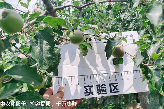     ����(sh��)�״���ɜp���r(n��ng)ˎ���������ƹ��ӵ����^Ʒ�|(zh��)���ɴ����߹�Ʒ�u(m��i)���������׳��۲��u(m��i)���߃r(ji��)�����Թ���(sh��)�״�Ŀǰ��Ȼ���҇�(gu��)���@����Ҫ�����������״��O(p��ng)��������Ǻ���Ҳ�ٲ�����