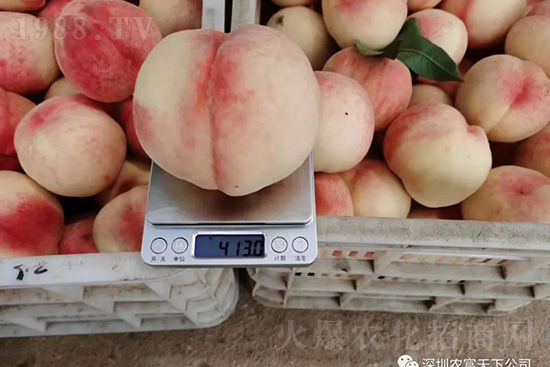 �Ҙ������ô�k���Ҙ����ԭ���A(y��)������