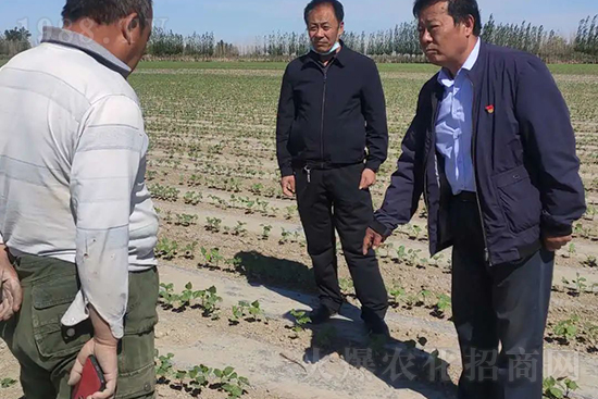 ���r(n��ng)���½������k��̎ؓ(f��)؟(z��)�ˣ�ͬ·ͬ�й��l(f��)չ