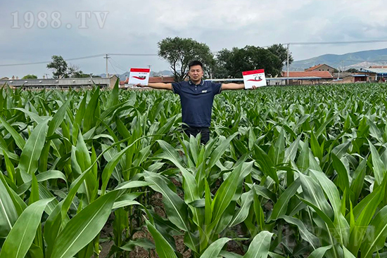 ��Դ������������I�B(y��ng)�a��ȫ����