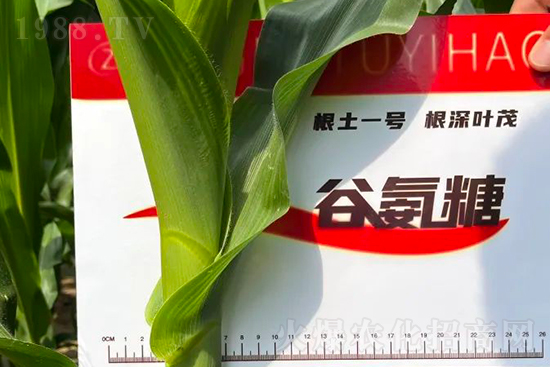 ��Դ������������I�B(y��ng)�a��ȫ����