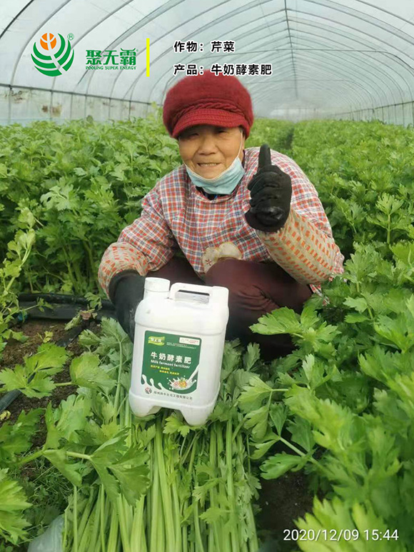 ţ�̽��ط�-�۟o��2