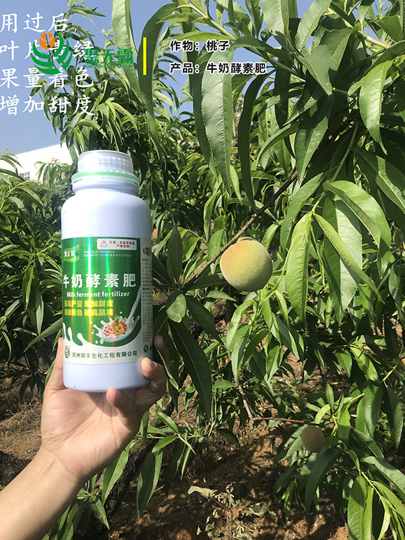 ţ�̽��ط�-�۟o��4