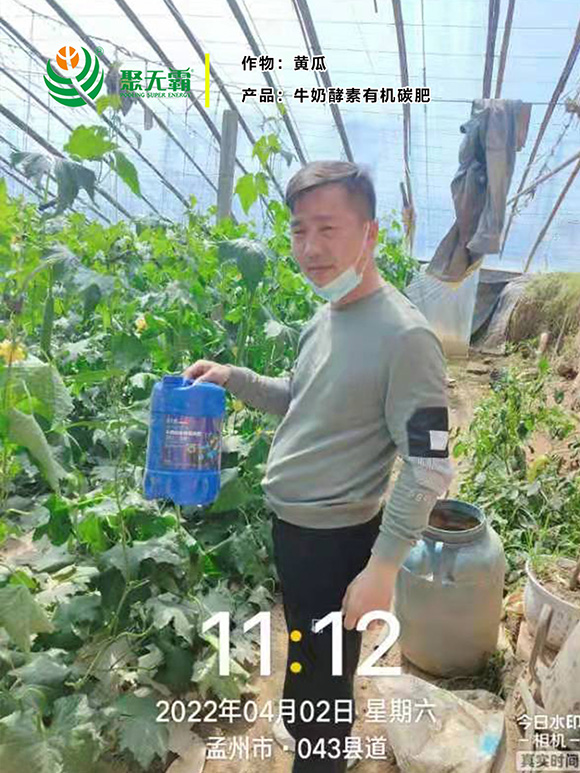 ţ�̽����ЙC(j��)̼��-�۟o(w��)��2