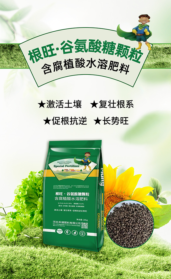 �������Ȱ����w��_01