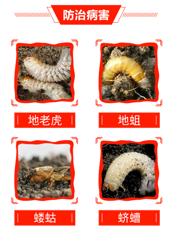 帥方-加號農業(yè)_04