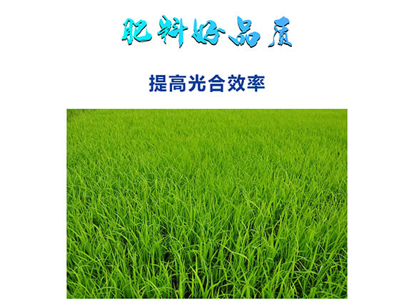 �������������0-400-450-�Θ���-���˺�_05