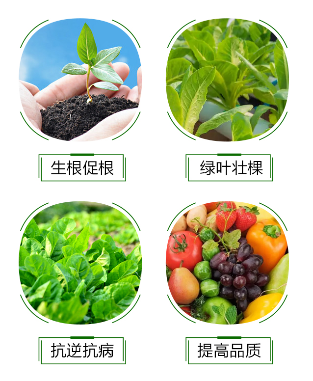 ����Һ��-���L_05