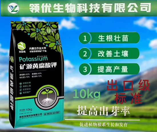 QQ�DƬ20230721172548