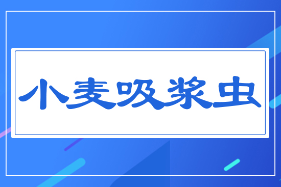 С�����{�x(ch��ng)