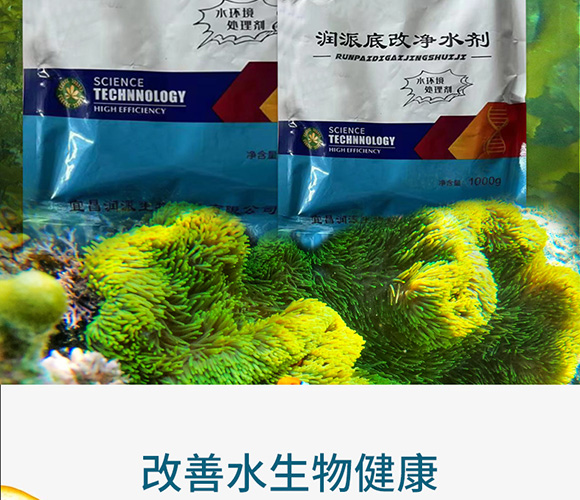 ���ɵ׸ă�ˮ��-��������_02