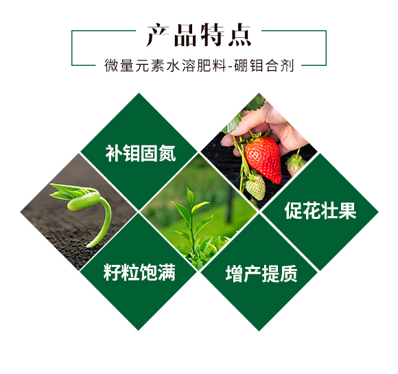 �ӱ���Ⱥ�r(n��ng)�I(y��)�Ƽ����޹�˾_03