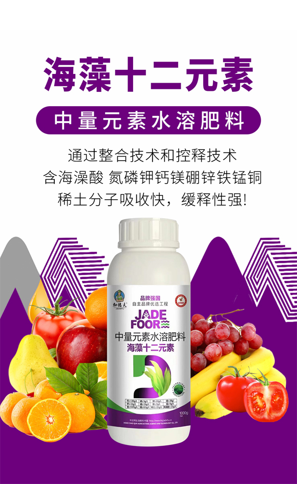 �ӱ���Ⱥ�r(n��ng)�I(y��)�Ƽ����޹�˾2_01