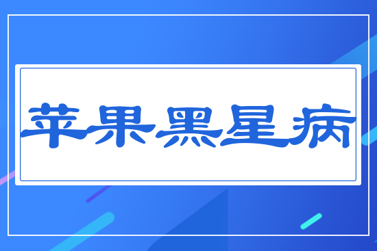 �O(p��ng)�����ǲ�