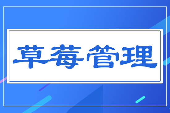 ��ݮ����