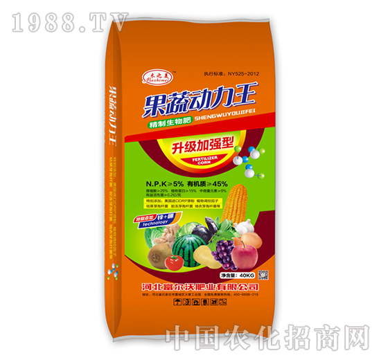 ���߄�����-���������-������