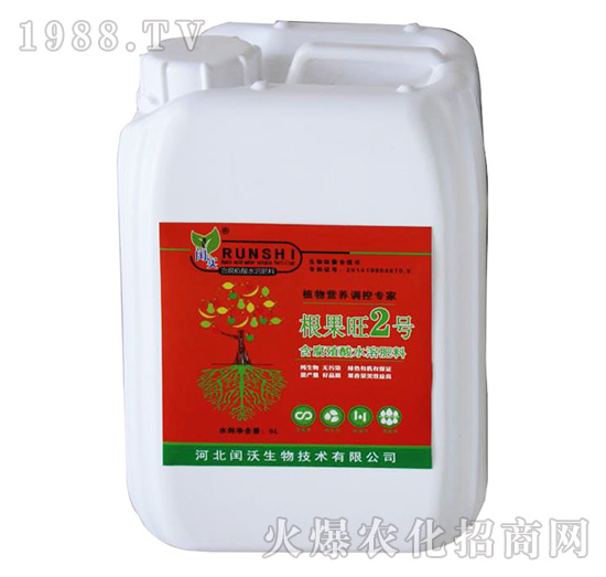 ������2̖(h��o)-�c��