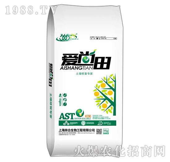 �����ޏ͌���-������-�������