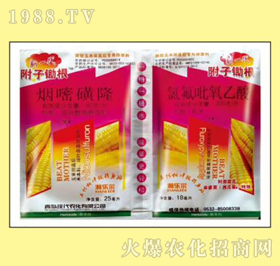 ���׻�¡+�ȷ���������-���ӳ���-嫘���