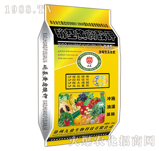 �����S�����-�Ŷ�-�ذ�Ȫ