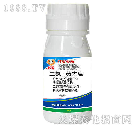 37%���ȡ�ݬȥ��-�t����-�����r�I(y��)