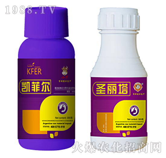 �{��(ji��)��-�P�Ơ�+ʥ����-�����r�I(y��)