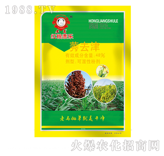 ݬȥ��-���R�t�Z��(l��)-�����r(n��ng)�I(y��)