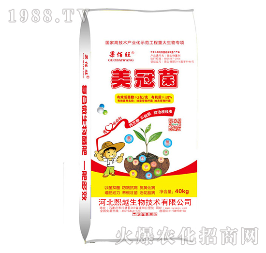 ���ھ�-������-��Խ����