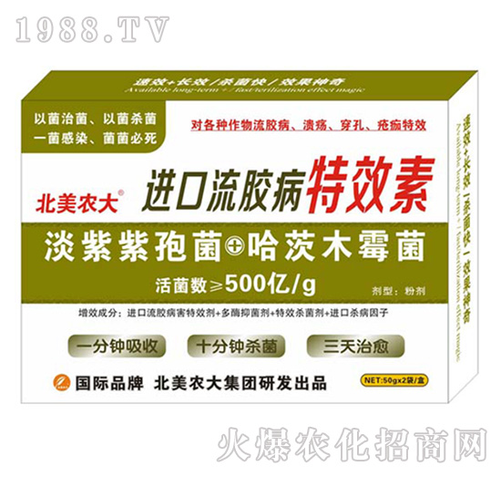 �M(j��n)�����z����Ч��-�����r(n��ng)��