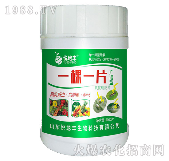 һ��һƬ���V�V�ͣ�-�����S