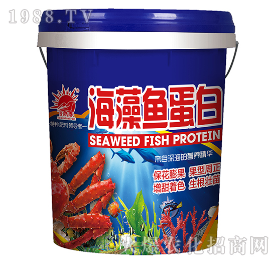 �����~���ף��{��-�P�L��