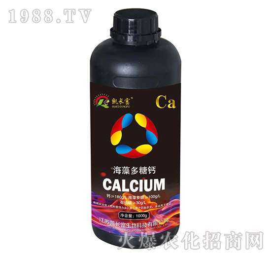 ��������}-�P�L��