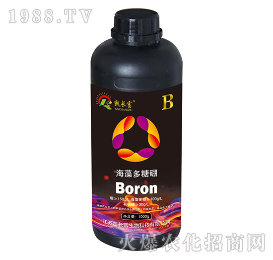 ��������𣨺ڣ�-�P�L(zh��ng)��