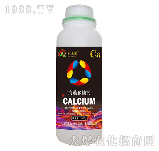 ��������}���ף�-�P�L��