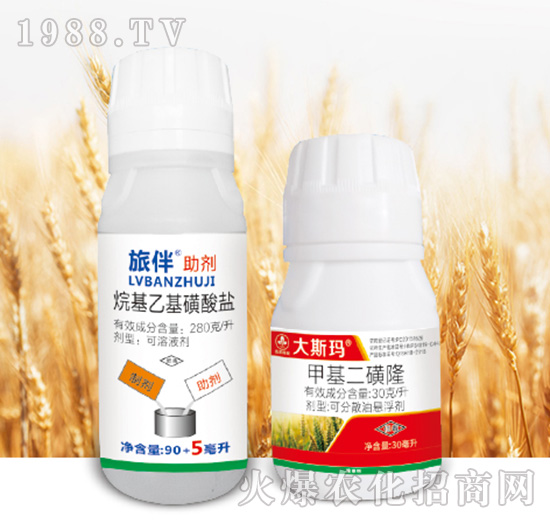 ��˹��-�к����_