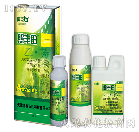 55%�ҡ�ݬ-���S��-���˰ل�