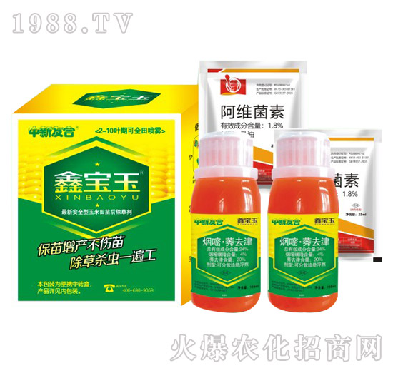 �Ό��񣨽M�ϣ�-�����Ѻ�