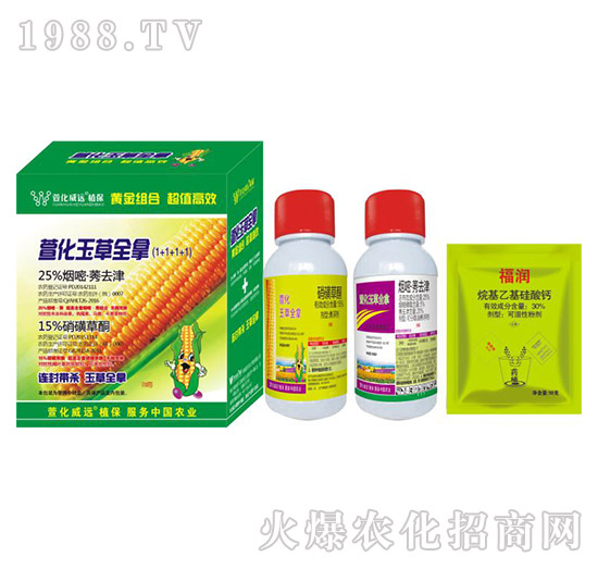 �滯���ȫ�ã�1+1+1+1���ײ�-�滯���h