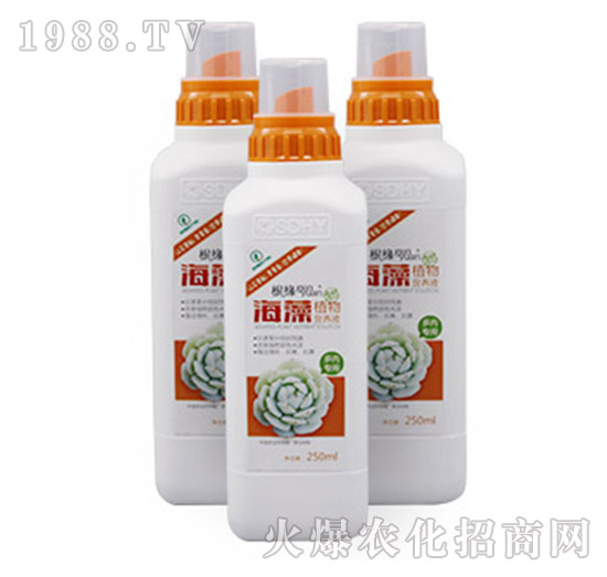 ����ֲ��I(y��ng)�B(y��ng)Һ-���⌣����