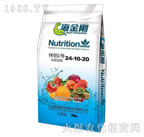 ��H1̖24-10-20-������-�¸�����