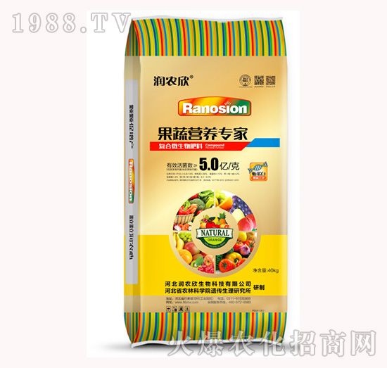 ���ߠI(y��ng)�B(y��ng)����-��(r��n)�r(n��ng)��